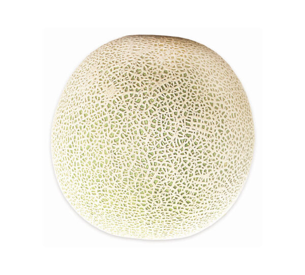 Fresh Produce Melons Each – Image 2